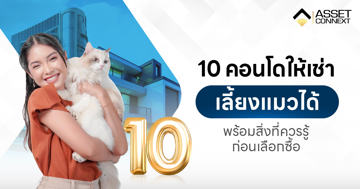 10 คอนโดเลี้ยงแมวได้